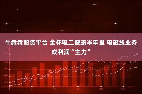 牛犇犇配资平台 金杯电工披露半年报 电磁线业务成利润“主力”