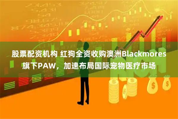 股票配资机构 红狗全资收购澳洲Blackmores旗下PAW，加速布局国际宠物医疗市场