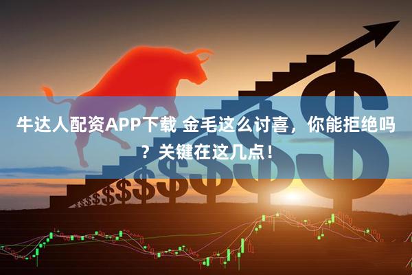牛达人配资APP下载 金毛这么讨喜，你能拒绝吗？关键在这几点！
